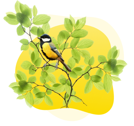 Единый семинар для бухгалтеров и руководителей