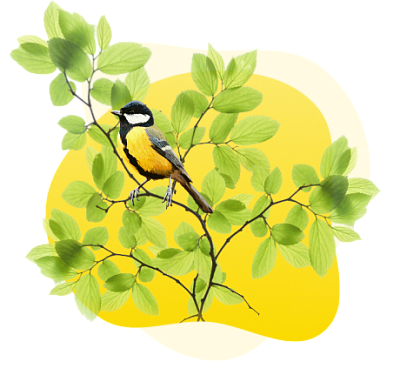 Единый семинар для бухгалтеров и руководителей